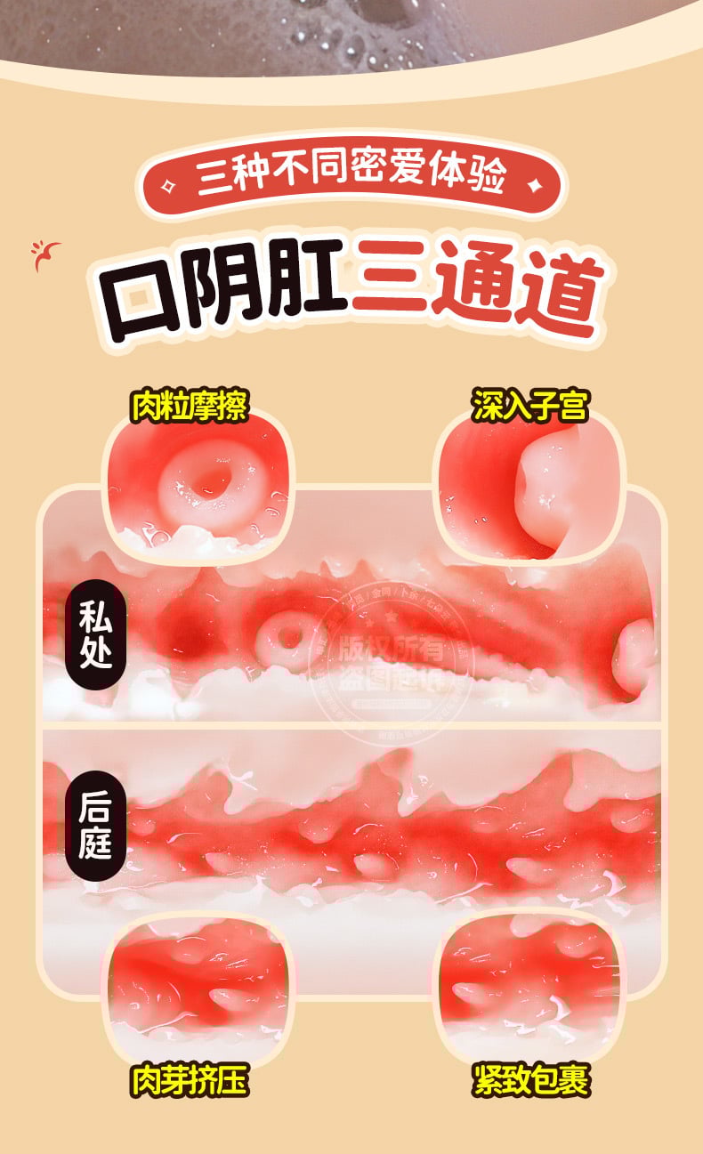 Búp bê tình dục bán thân có đầu có tay cao cấp xinh xắn 15