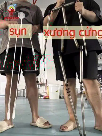 Khung xương cứng có thể đứng được