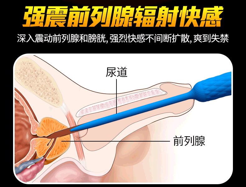 Thanh rung kích niệu đạo tăng hưng phấn cho nam 2