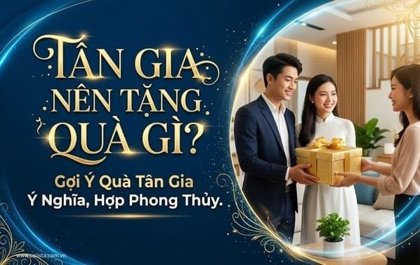 Tân Gia Nên Tặng Quà Gì? Gợi Ý Quà Tân Gia Ý Nghĩa, Hợp Phong Thủy
