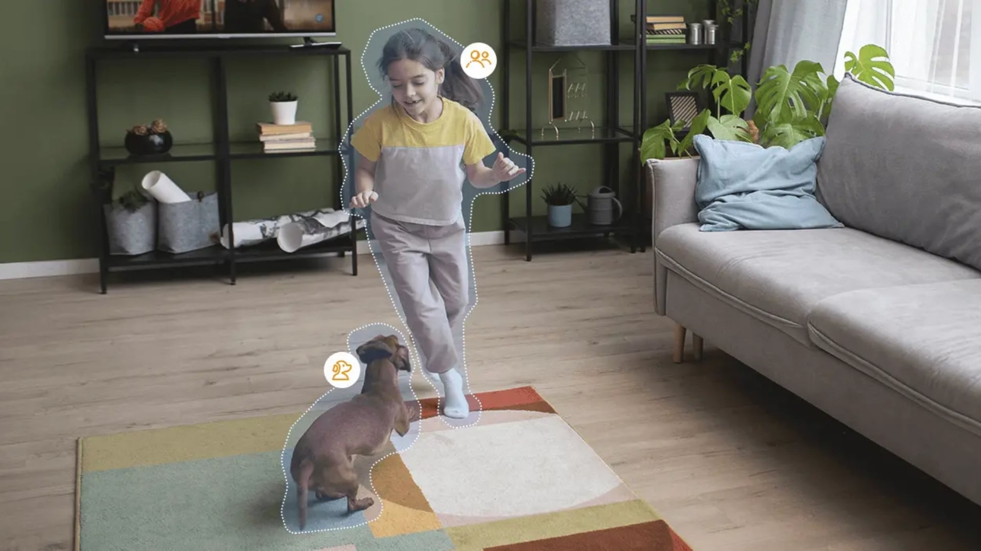 camera AI phân biệt người, vật nuôi hay vật thể khác