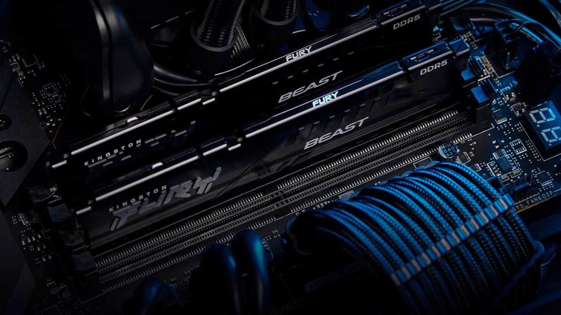 RAM DDR5 64G Kingston Fury Beast 5600MHz Black - Tốc độ 5600MHz