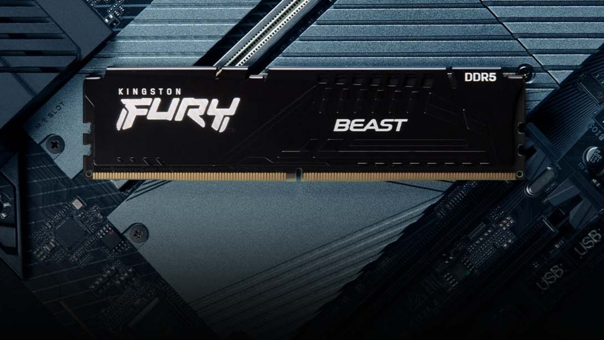 RAM DDR5 64G Kingston Fury Beast 5600MHz Black - Bền bỉ, mát mẻ, thẩm mỹ cao