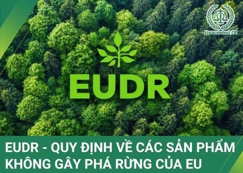 EUDR - Quy định về các sản phẩm không gây phá rừng của EU