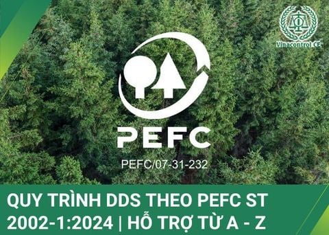 Quy trình DDS theo PEFC ST 2002-1:2024