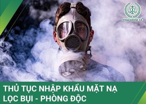Thủ tục nhập khẩu mặt nạ lọc bụi - phòng độc về Việt Nam | Cập nhật mới nhất