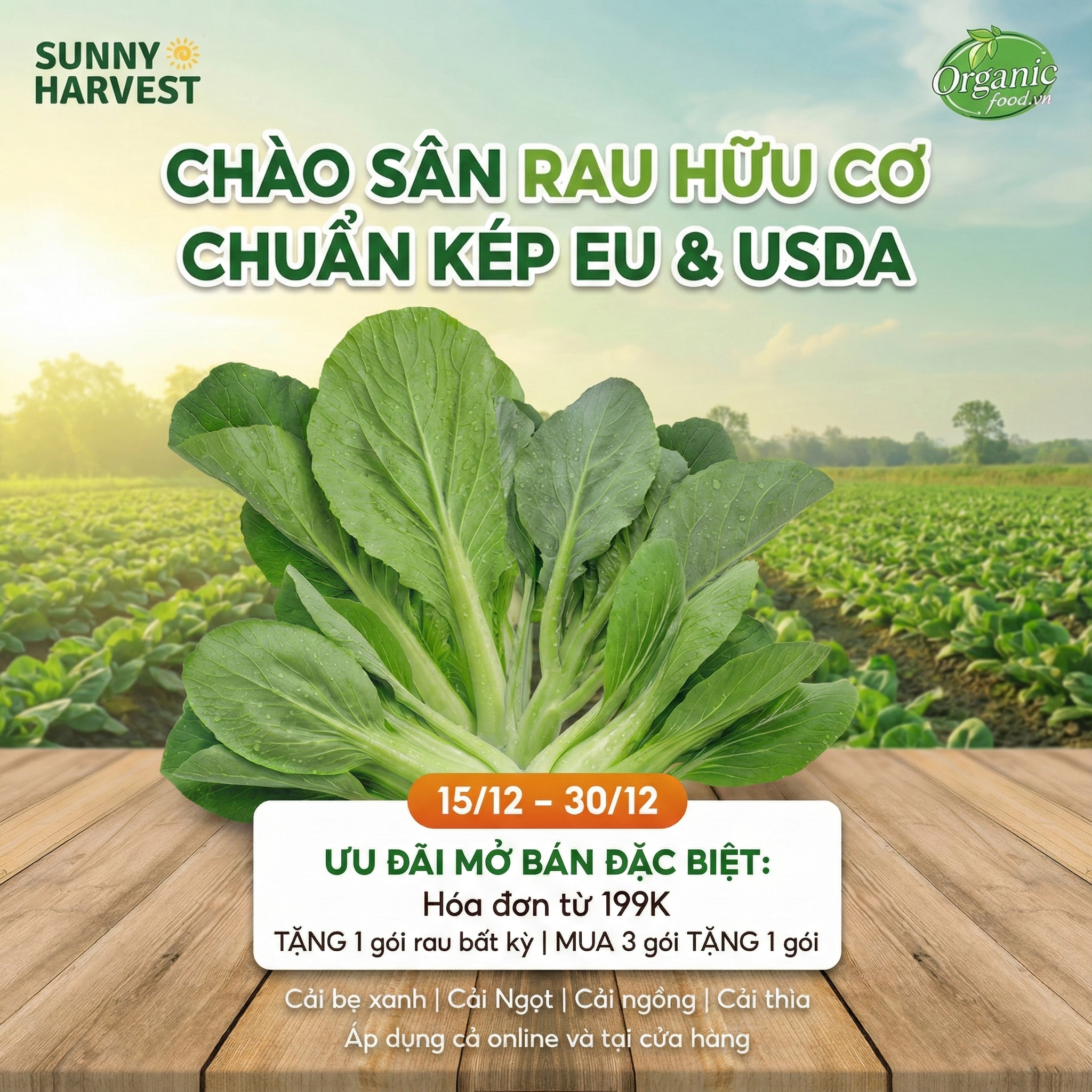 Chào Mùa Rau Hữu Cơ Đầu Tiên: Quả Ngọt Từ Hành Trình 