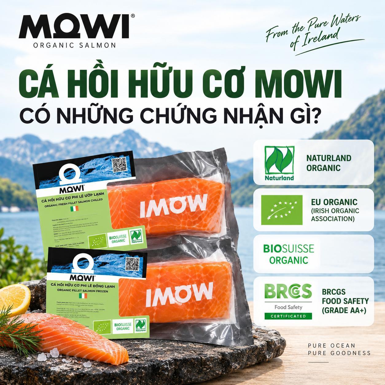 Cá hồi hữu cơ MOWI từ Ireland & Scotland