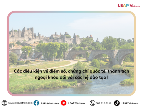 Các điều kiện về điểm số, chứng chỉ quốc tế, thành tích ngoại khóa đối với các hệ đào tạo? | What are the requirements regarding grades, international certificates, and extracurricular achievements for different training systems?