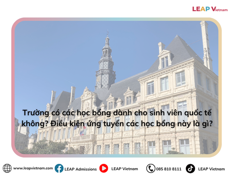 Trường có các học bổng dành cho sinh viên quốc tế không? | Does the school offer scholarships for international students?