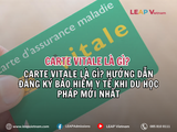 Carte Vitale là gì? Hướng dẫn đăng ký bảo hiểm y tế khi du học Pháp mới nhất