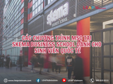 Các chương trình MSc tại SKEMA dành cho sinh viên quốc tế