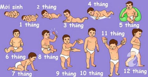 Các giai đoạn phát triển của trẻ sơ sinh theo từng tháng tuổi (0 - 12 tháng)