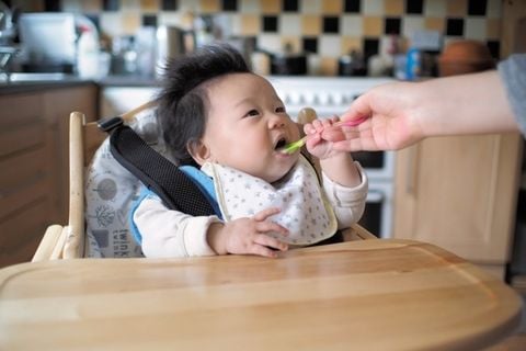 Lịch ăn dặm cho bé 5-6 tháng: Thực đơn và nguyên tắc theo lời khuyên của chuyên gia dinh dưỡng