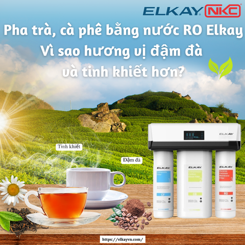 Pha trà, cà phê bằng nước RO Elkay: Vì sao hương vị đậm đà và tinh khiết hơn?