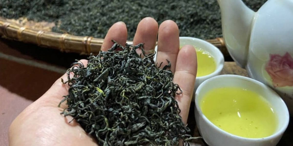 Trà Móc Câu: Tận hưởng hương vị tinh tế và hòa mình vào nền văn hóa trà