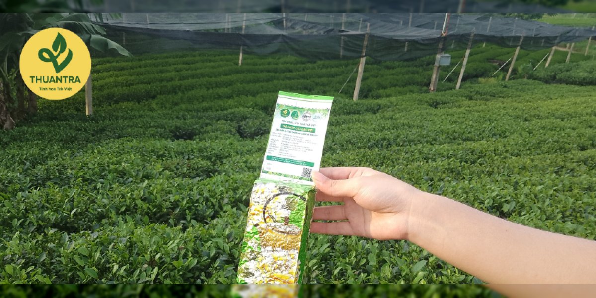 Khi Nào Nên Uống Trà Móc Câu? 5 Thời Điểm Tốt Nhất Cho Hương Vị Tinh Tế