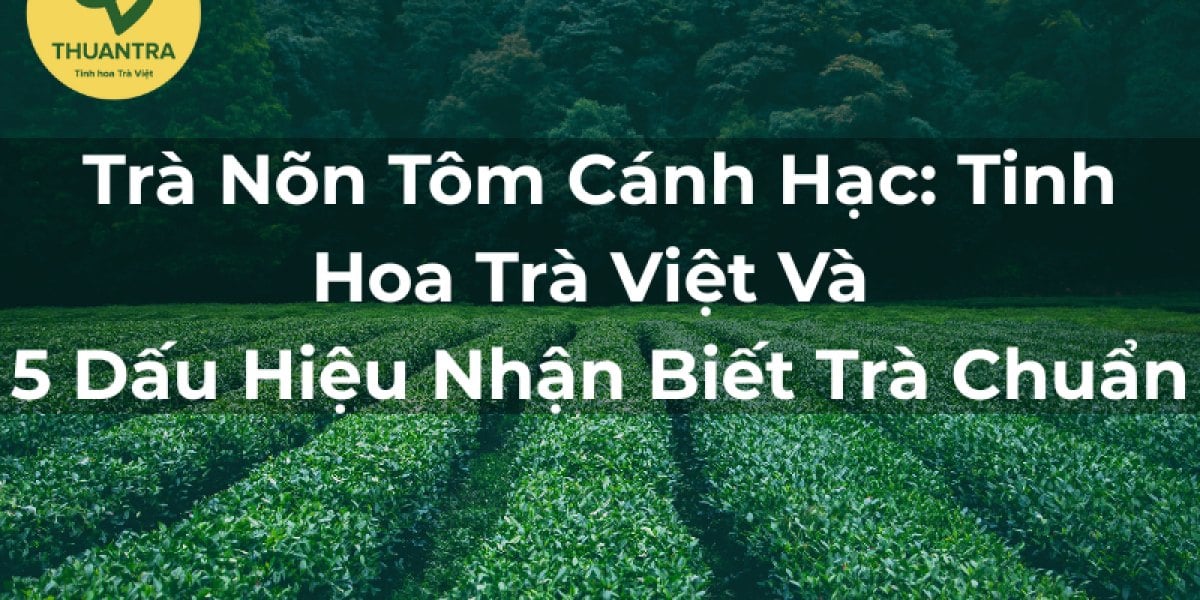 Trà Nõn Tôm Cánh Hạc: Tinh Hoa Trà Việt Và 5 Dấu Hiệu Nhận Biết Trà Chuẩn
