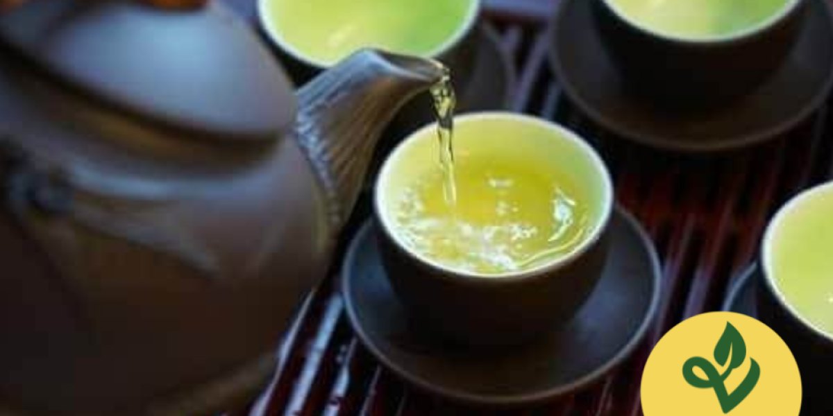 Khám phá Thế giới Trà Thái Nguyên chuẩn Chất lượng và Dịch vụ Đẳng cấp của Thuận Trà Thái Nguyên