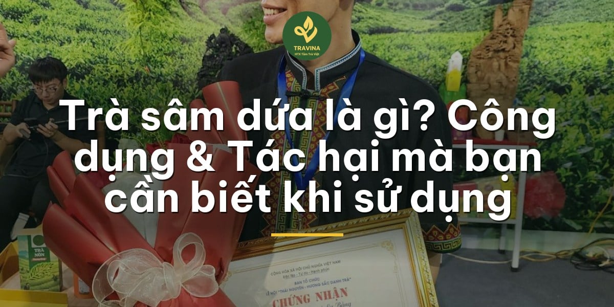 Trà sâm dứa là gì? Làm từ gì, pha thế nào cho thơm và ai nên uống ít
