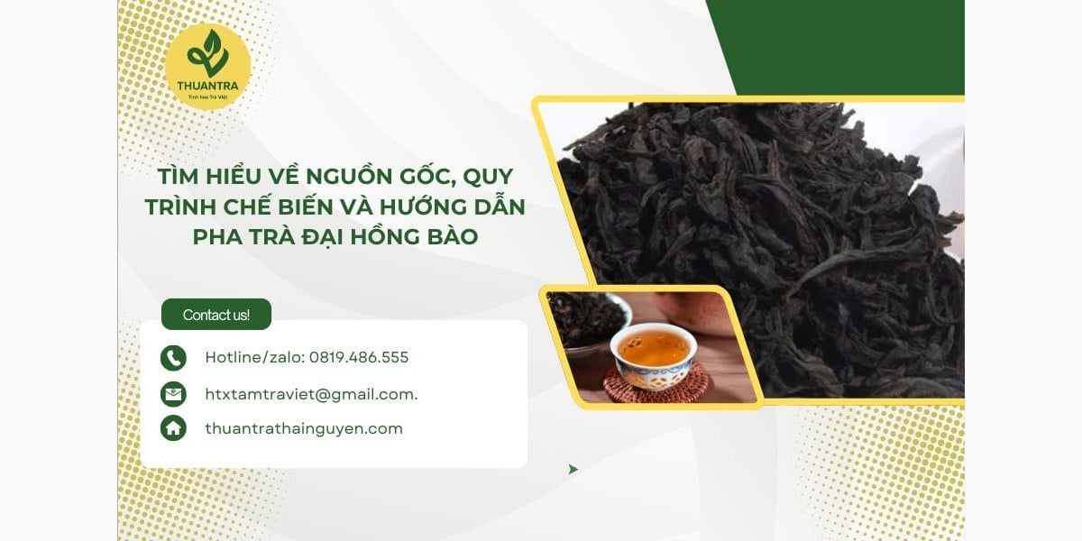 Trà Đại Hồng Bào là gì? Nguồn gốc núi Vũ Di, cách làm nham trà và cách pha bằng chén khải