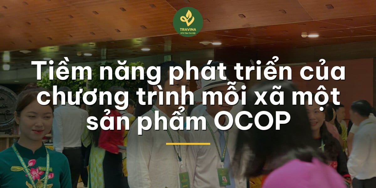 Tiềm năng phát triển của chương trình mỗi xã một sản phẩm