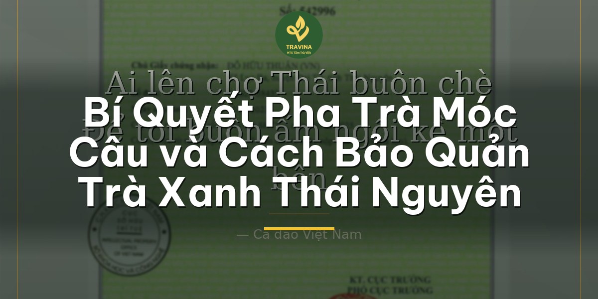 Bí Quyết Pha Trà Móc Câu và Cách Bảo Quản Trà Xanh Thái Nguyên