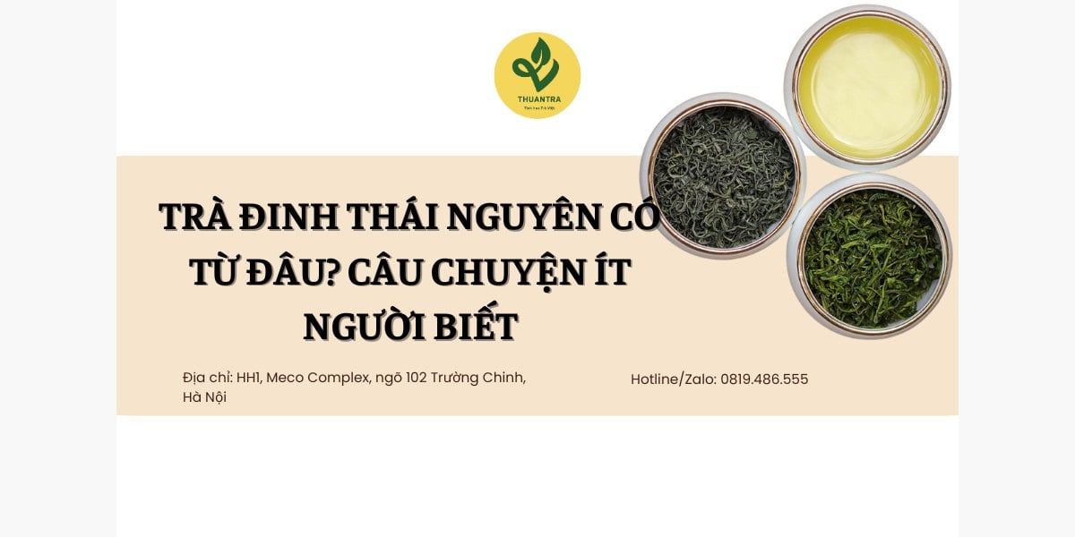 Trà Đinh Thái Nguyên Có Từ Đâu? Câu Chuyện Ít Người Biết