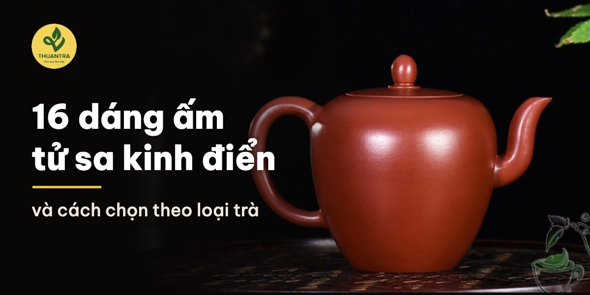 16 dáng ấm tử sa kinh điển và cách chọn theo loại trà