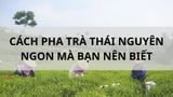 CÁCH PHA TRÀ THÁI NGUYÊN NGON MÀ BẠN NÊN BIẾT