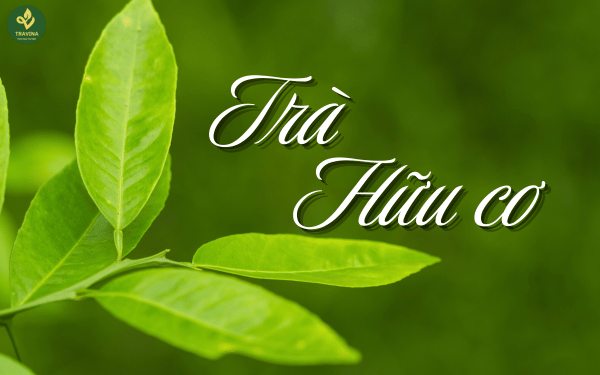 Khắt khe trên từng búp trà hữu cơ. Giải mã loại trà có tiêu chuẩn sản xuất “căng” nhất hiện nay