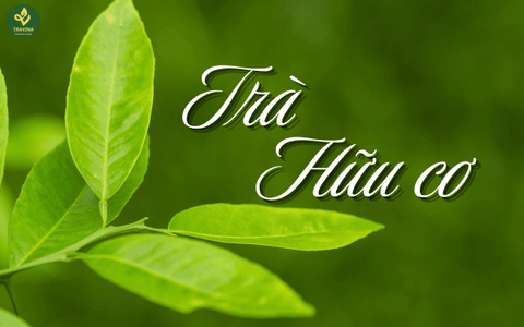 Khắt khe trên từng búp trà hữu cơ. Giải mã loại trà có tiêu chuẩn sản xuất “căng” nhất hiện nay