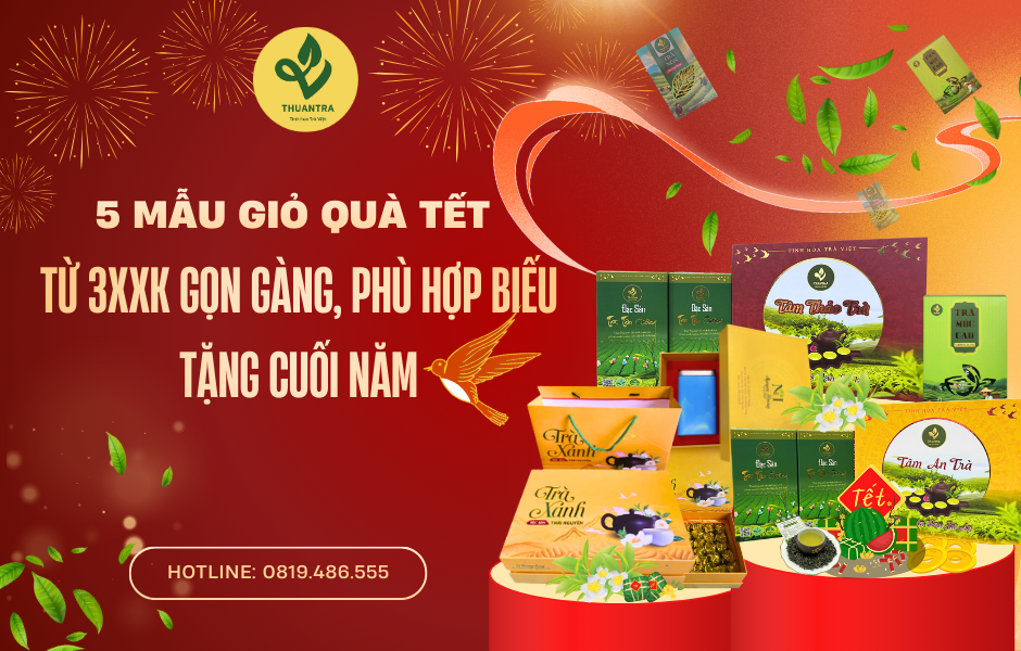 5 Mẫu Giỏ Quà Tết Từ 3xxK Gọn Gàng, Phù hợp Biếu Tặng Cuối Năm
