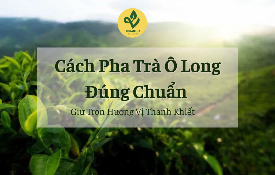 Cách Pha Trà Ô Long Đúng Chuẩn – Giữ Trọn Hương Vị Thanh Khiết