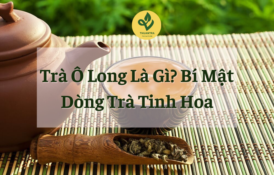 Trà Ô Long Là Gì? Bí Mật Dòng Trà Tinh Hoa