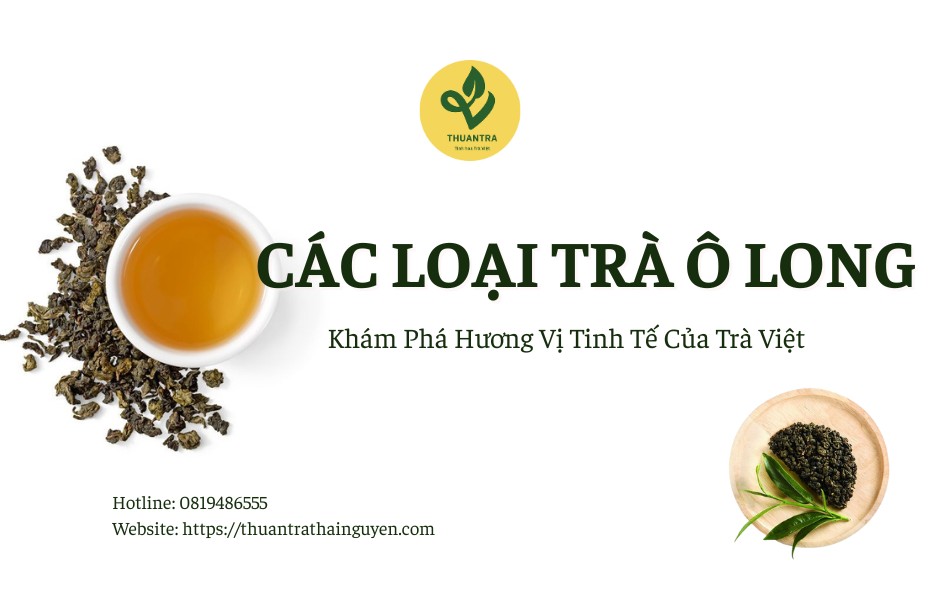 Các Loại Trà Ô Long: Khám Phá Hương Vị Tinh Tế Của Trà Việt