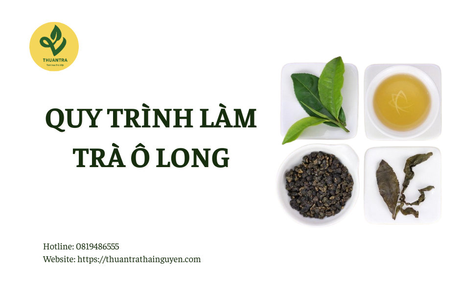 Quy Trình Làm Trà Ô Long: Điều có thể bạn chưa biết