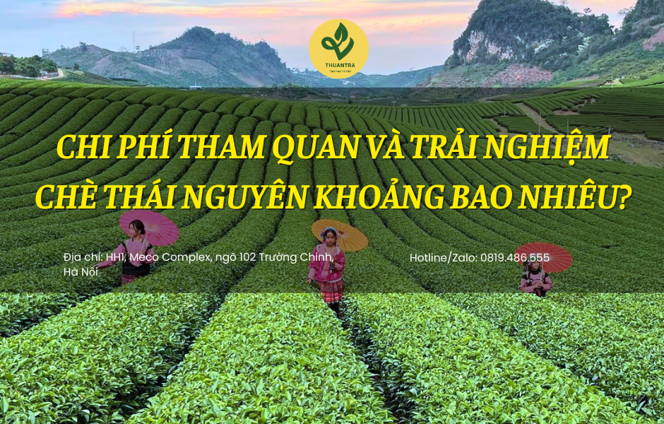 Chi Phí Tham Quan Và Trải Nghiệm Chè Thái Nguyên Khoảng Bao Nhiêu?