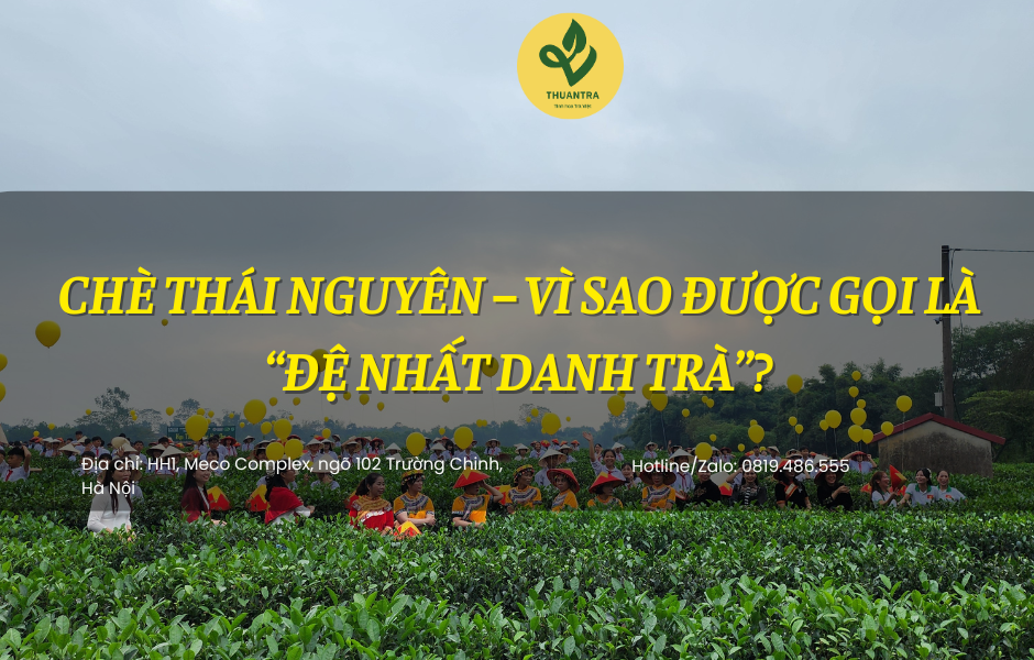 Chè Thái Nguyên | Vì Sao Được Gọi Là “Đệ Nhất Danh Trà”?