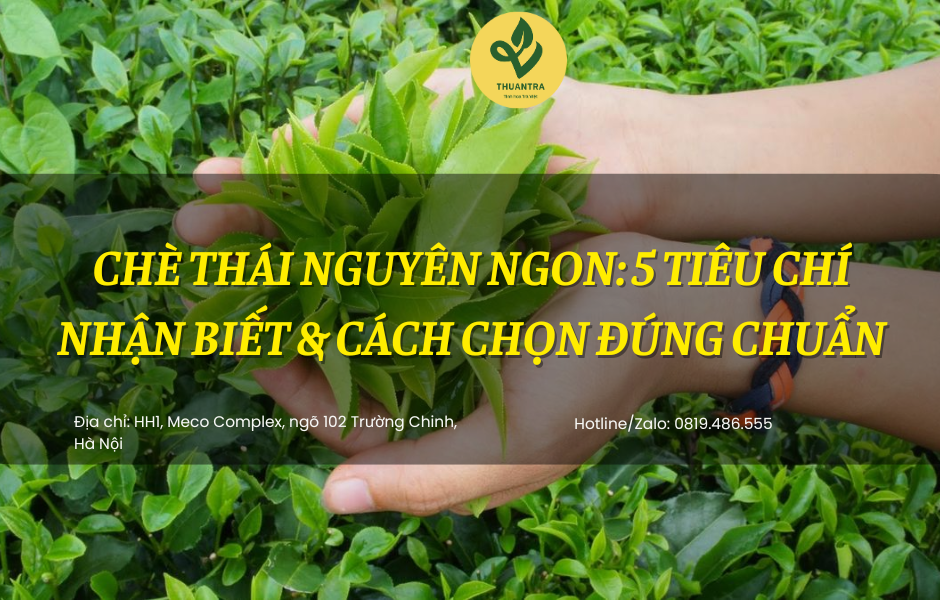 Chè Thái Nguyên Ngon: 5 Tiêu Chí Nhận Biết & Cách Chọn Đúng Chuẩn