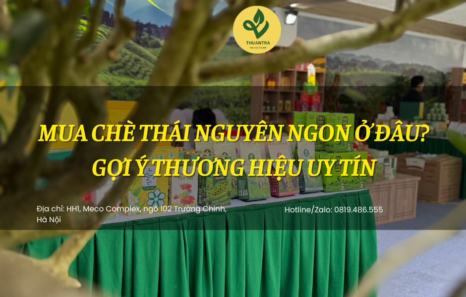 Mua Chè Thái Nguyên Ngon Ở Đâu? Gợi Ý Thương Hiệu Uy Tín