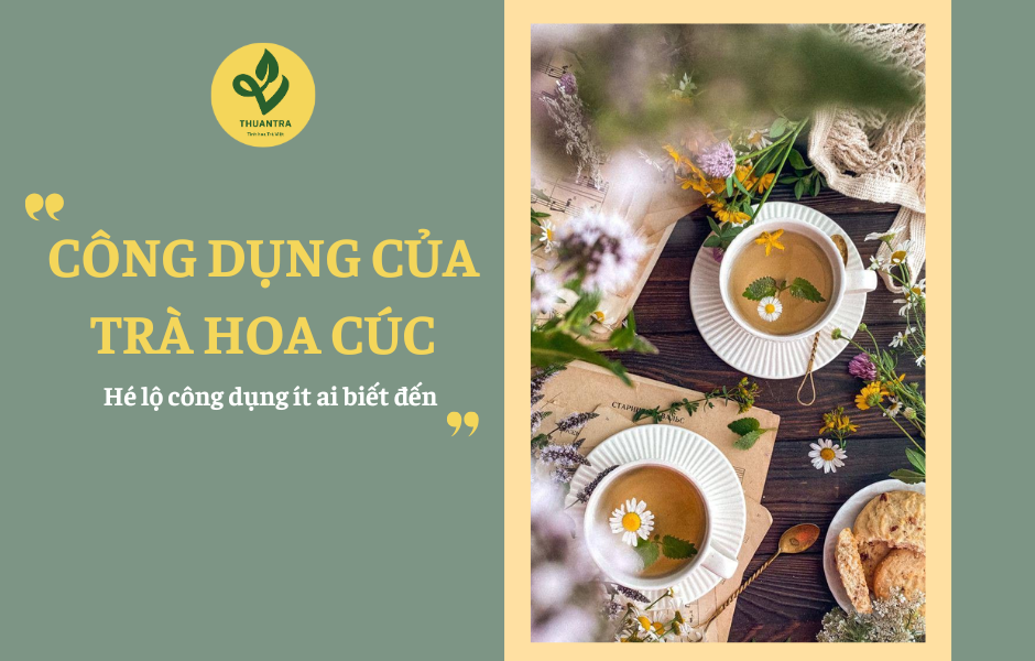 Công dụng của Trà Hoa Cúc: Hé lộ công dụng ít ai biết đến