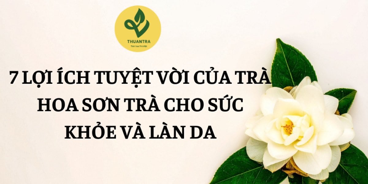 7 Lợi Ích Tuyệt Vời Của Trà Hoa Sơn Trà Cho Sức Khỏe Và Làn Da