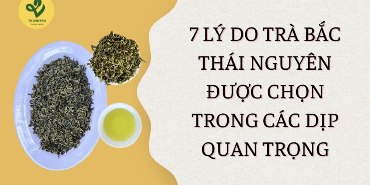 7 tình huống cần đến trà Bắc — nên mua loại nào, bao nhiêu