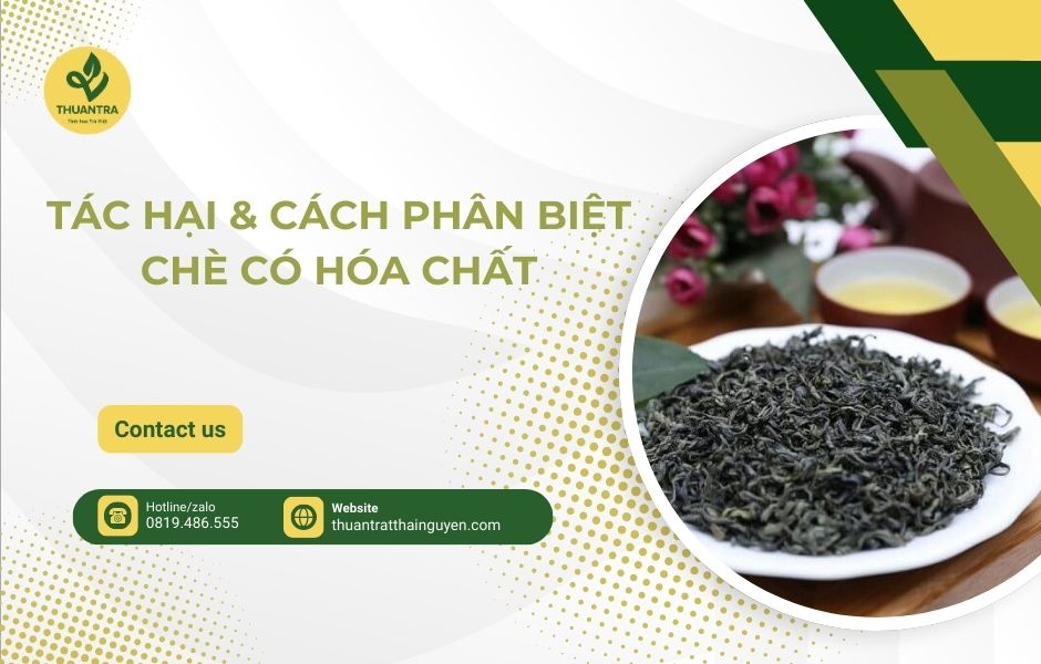 Tác hại & cách phân biệt chè có hóa chất