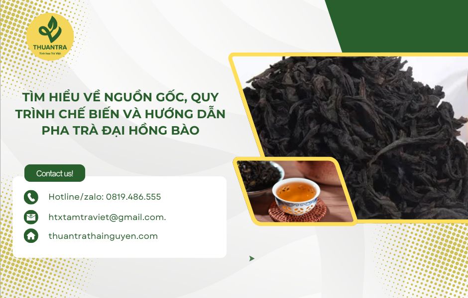 Tìm hiểu về nguồn gốc, quy trình chế biến và hướng dẫn pha trà Đại Hồng Bào