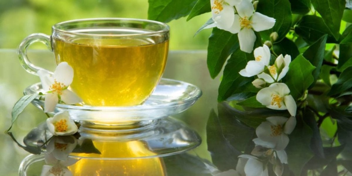 Trà lài truyền thống và trà lài kiểu mới: so sánh 7 phiên bản trên thị trường, giá tham khảo và chọn theo thói quen uống