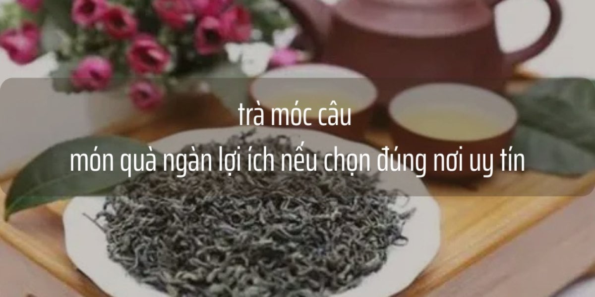 trà móc câu đặc biệt - món quà Ngàn Lợi Ích Cho Sức Khỏe khi chọn đúng nơi uy tín