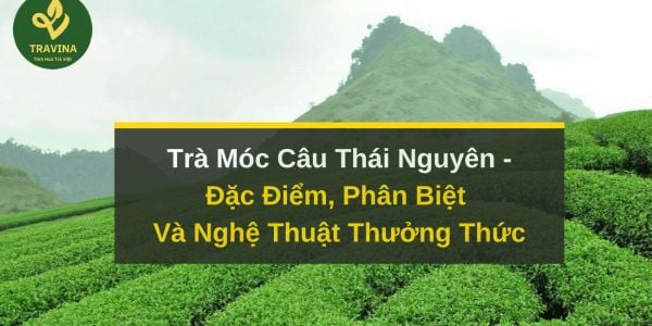Trà Móc Câu Thái Nguyên: Đặc Điểm, Phân Biệt Và Nghệ Thuật Thưởng Thức