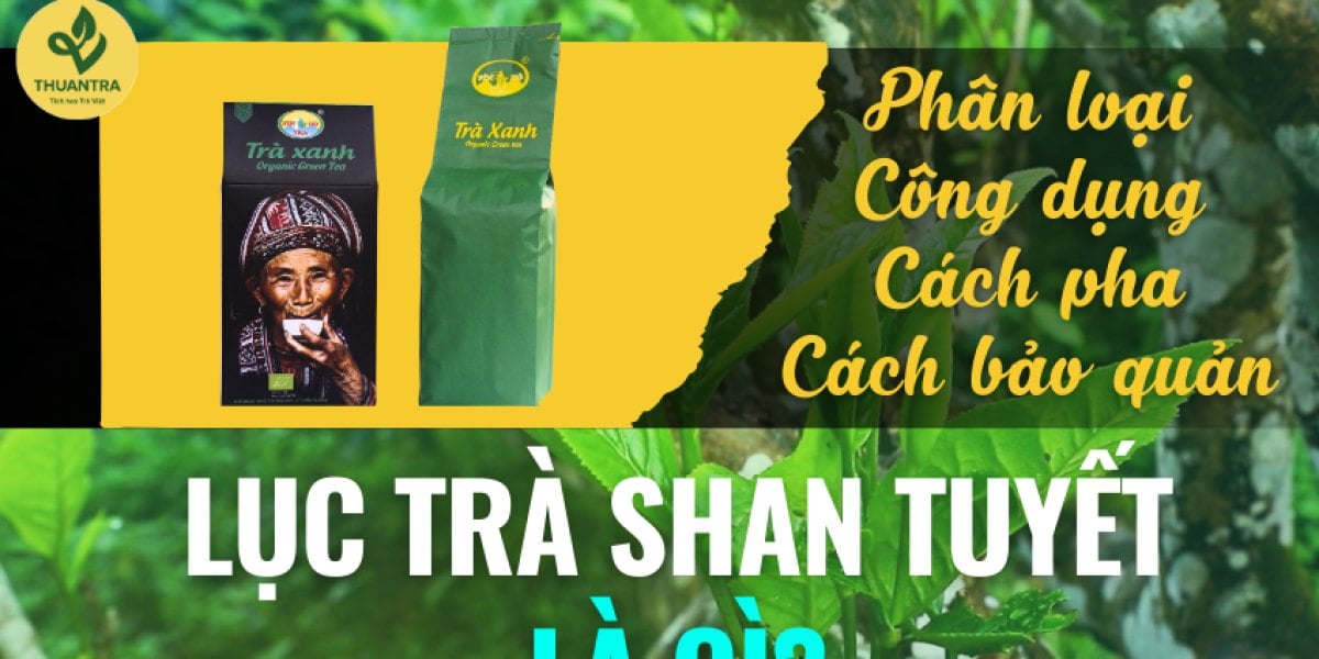 Lục trà shan tuyết là gì? Khác trà xanh Thái Nguyên ở đâu, 4 hạng, cách pha, bảo quản và giá tham khảo 2026